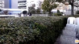 麻阳天气极品丝袜人妻